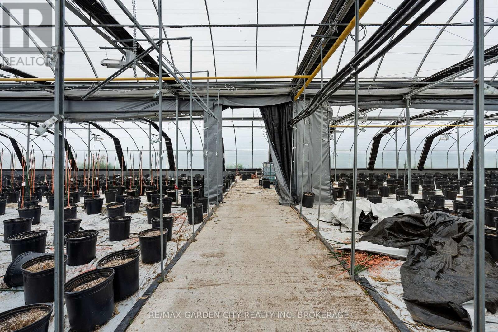 Greenhouse - 53825 Zion Road, Wainfleet, Ontario  L0S 1V0 - Photo 15 - X12933380