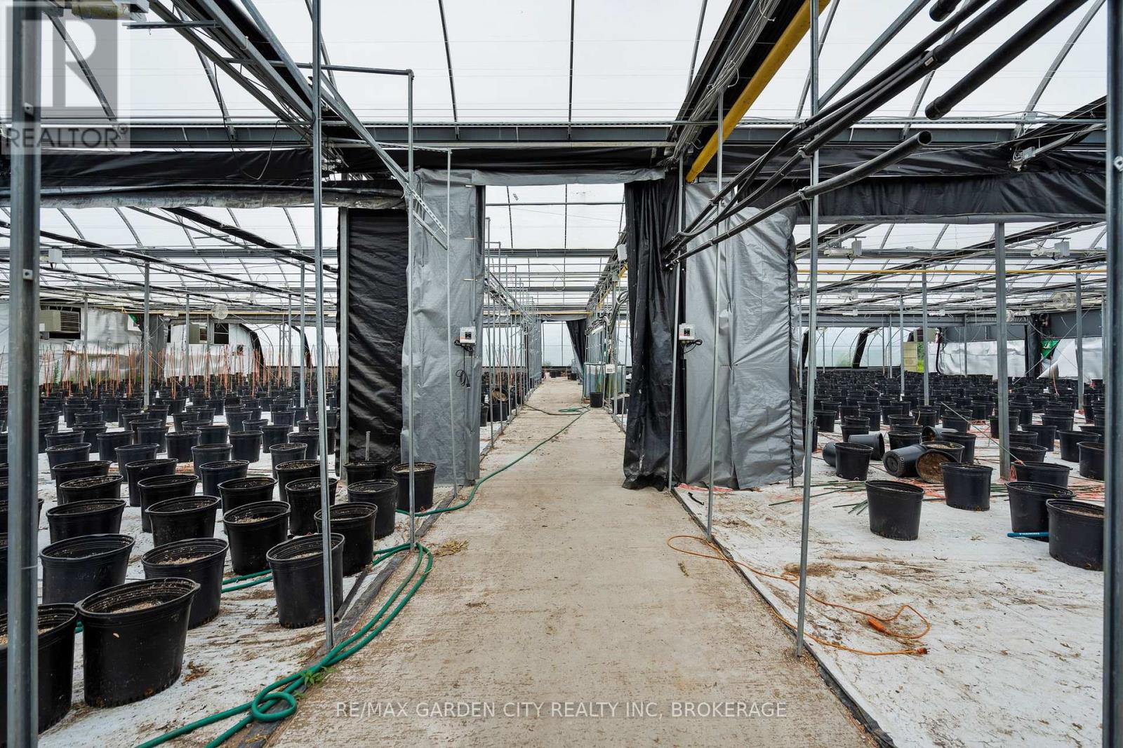 Greenhouse - 53825 Zion Road, Wainfleet, Ontario  L0S 1V0 - Photo 16 - X12933380