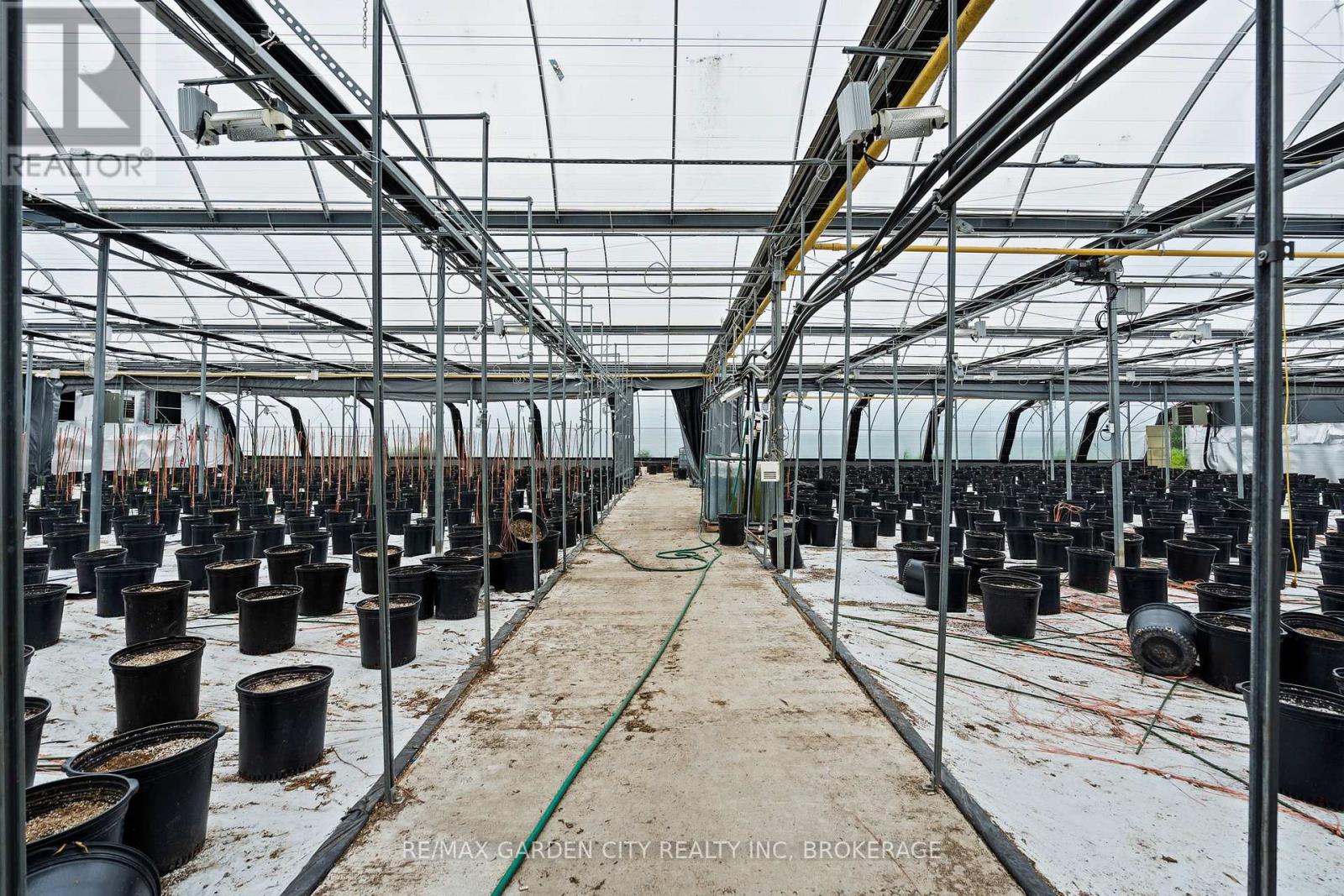 Greenhouse - 53825 Zion Road, Wainfleet, Ontario  L0S 1V0 - Photo 17 - X12933380