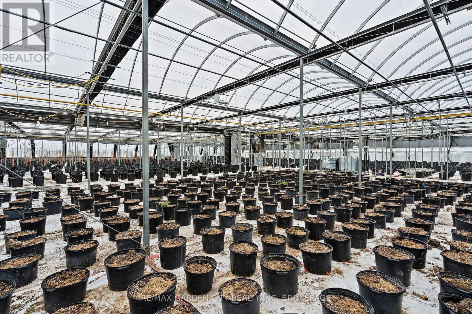 Greenhouse - 53825 Zion Road, Wainfleet, Ontario  L0S 1V0 - Photo 18 - X12933380