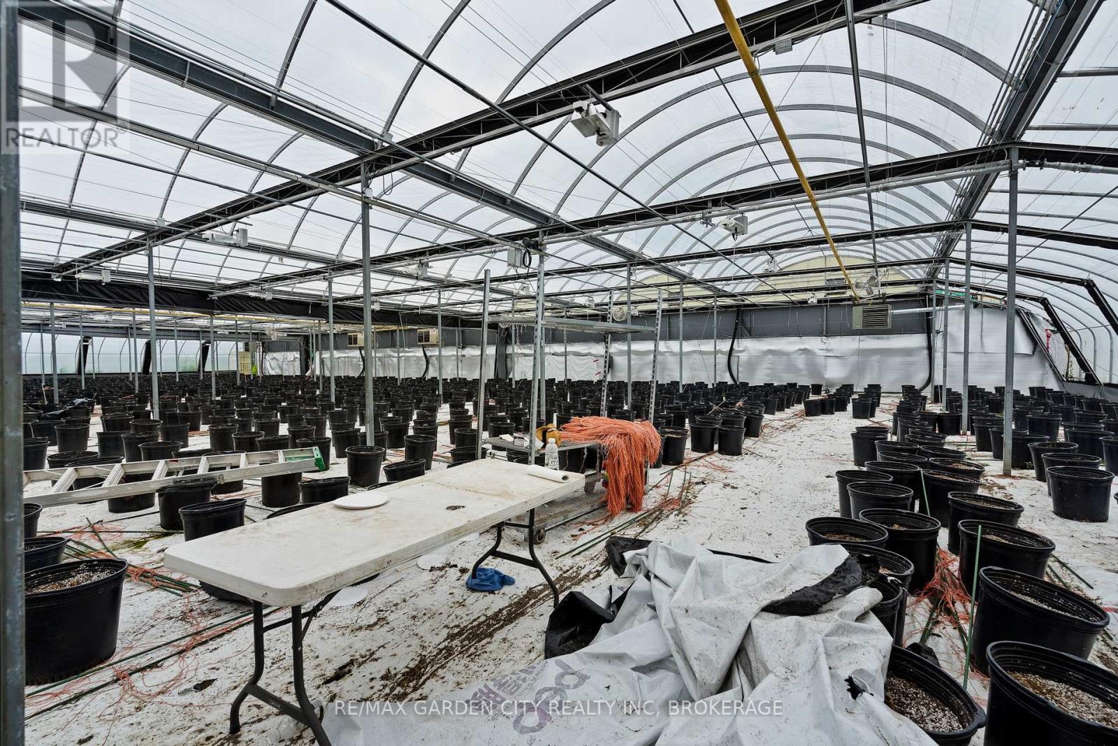 Greenhouse - 53825 Zion Road, Wainfleet, Ontario  L0S 1V0 - Photo 19 - X12933380