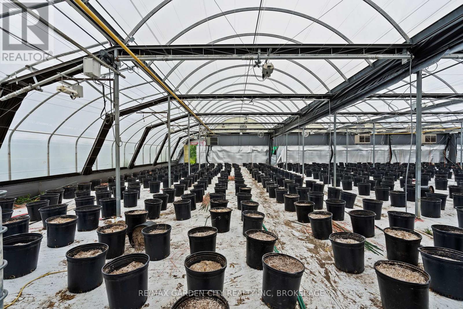 Greenhouse - 53825 Zion Road, Wainfleet, Ontario  L0S 1V0 - Photo 9 - X12933380