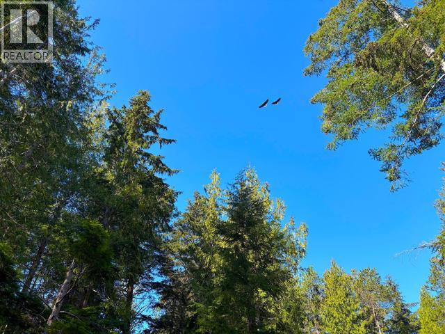 960 Somerset Lane, Savary Island, British Columbia   - Photo 13 - 19720