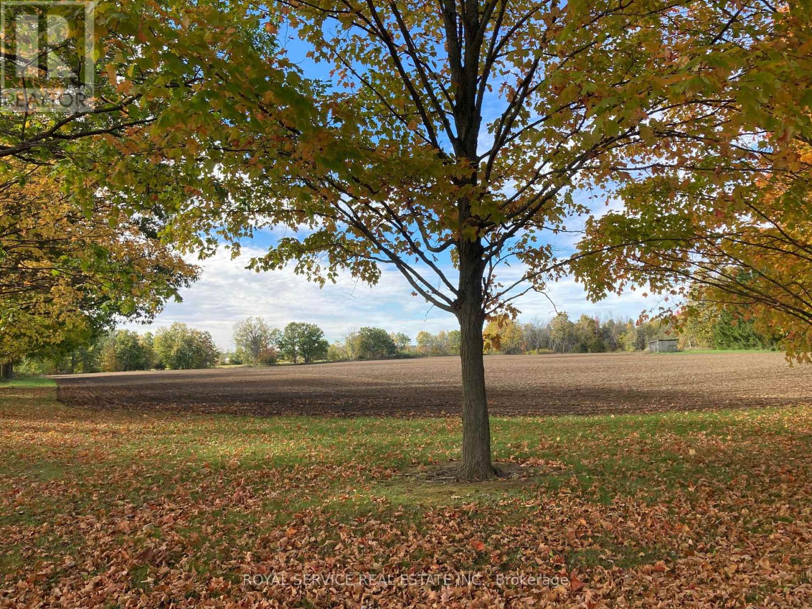 712 12th Line W, Trent Hills, Ontario  K0L 1Y0 - Photo 3 - X12933452