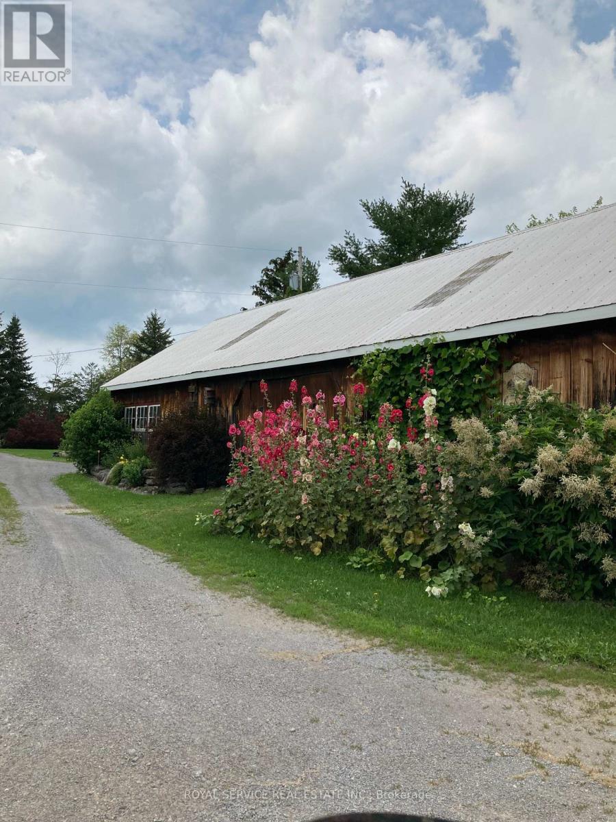 712 12th Line W, Trent Hills, Ontario  K0L 1Y0 - Photo 7 - X12933452