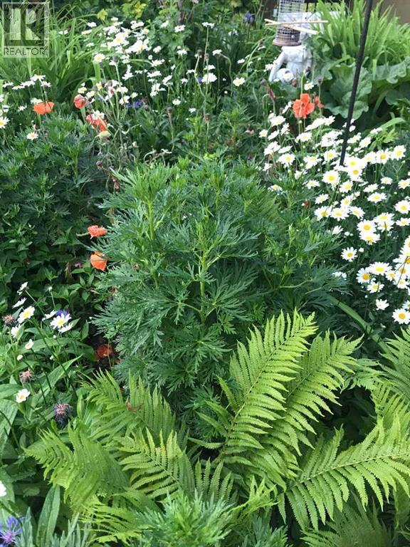 200 Edgemont Estates Drive Nw, Calgary, Alberta  t3a 2m3 - Photo 44 - A2297117