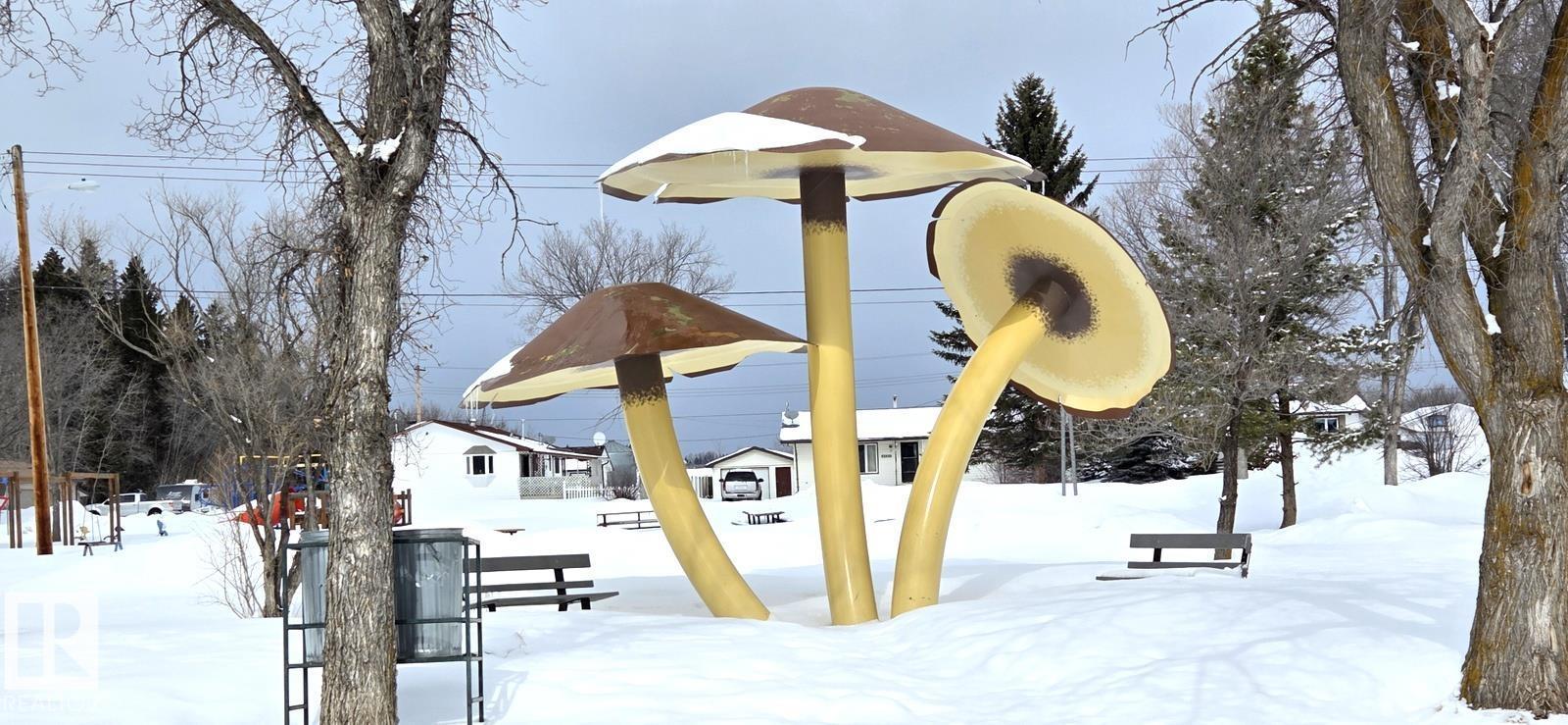 4903 49 Av, Vilna, Alberta  T0A 2C0 - Photo 23 - E4478175