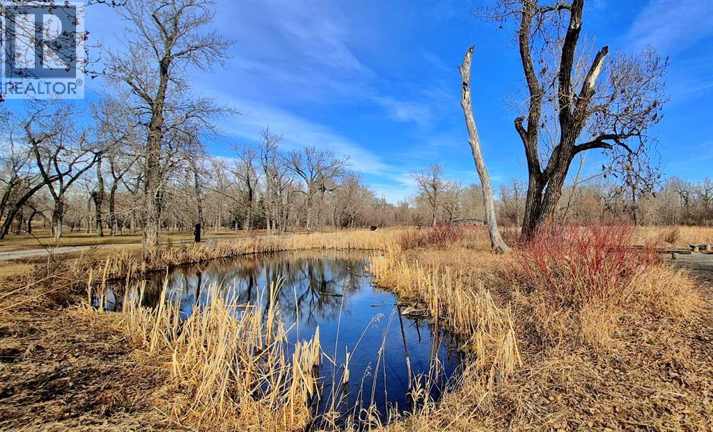 121, 63 Inglewood Park Se, Calgary, Alberta  T2G 1B7 - Photo 49 - A2292501