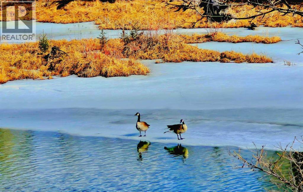 121, 63 Inglewood Park Se, Calgary, Alberta  T2G 1B7 - Photo 39 - A2292501