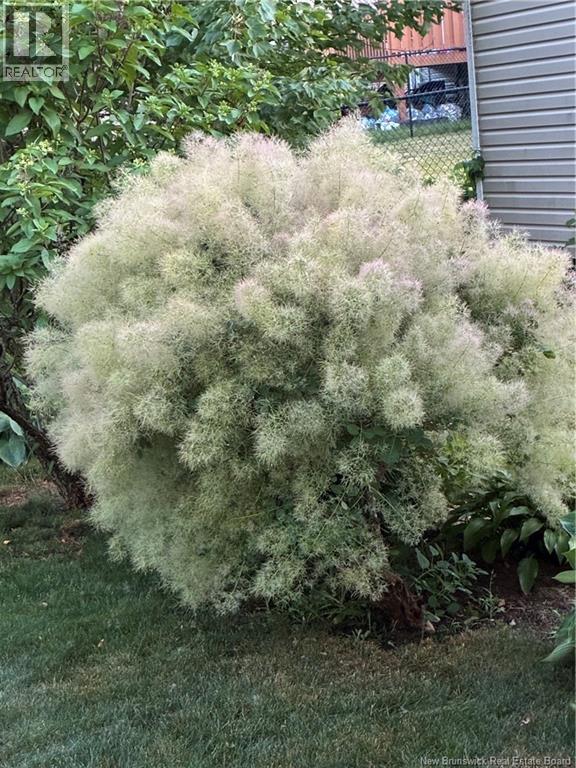 54 Clarendon Drive, Moncton, New Brunswick  E1G 0M9 - Photo 23 - NB135212