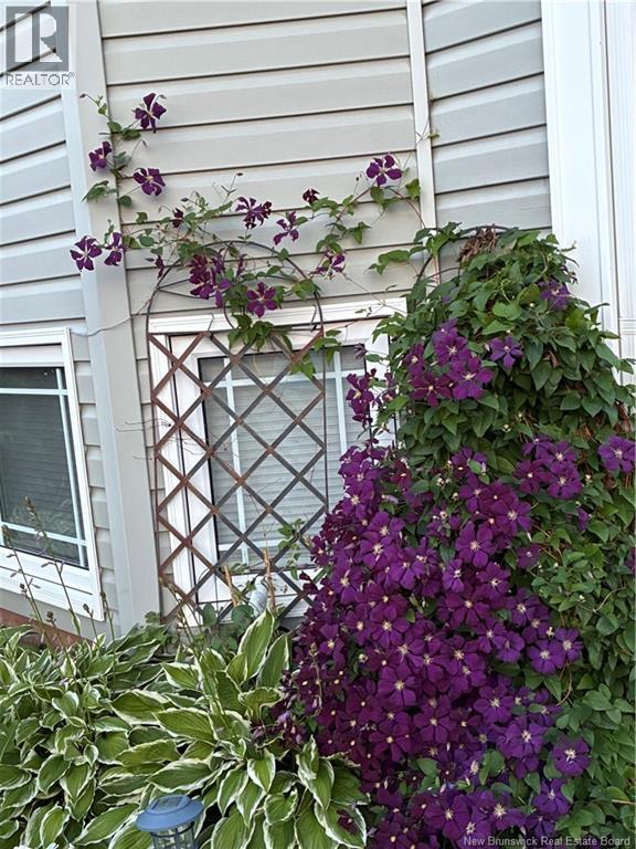 54 Clarendon Drive, Moncton, New Brunswick  E1G 0M9 - Photo 31 - NB135212