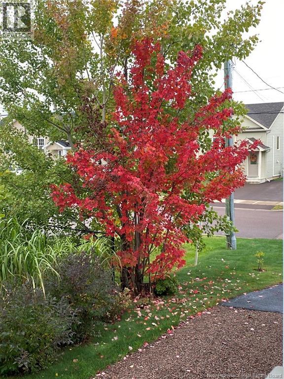 54 Clarendon Drive, Moncton, New Brunswick  E1G 0M9 - Photo 29 - NB135212