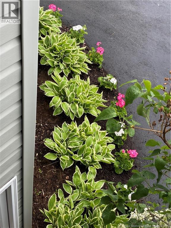 54 Clarendon Drive, Moncton, New Brunswick  E1G 0M9 - Photo 26 - NB135212