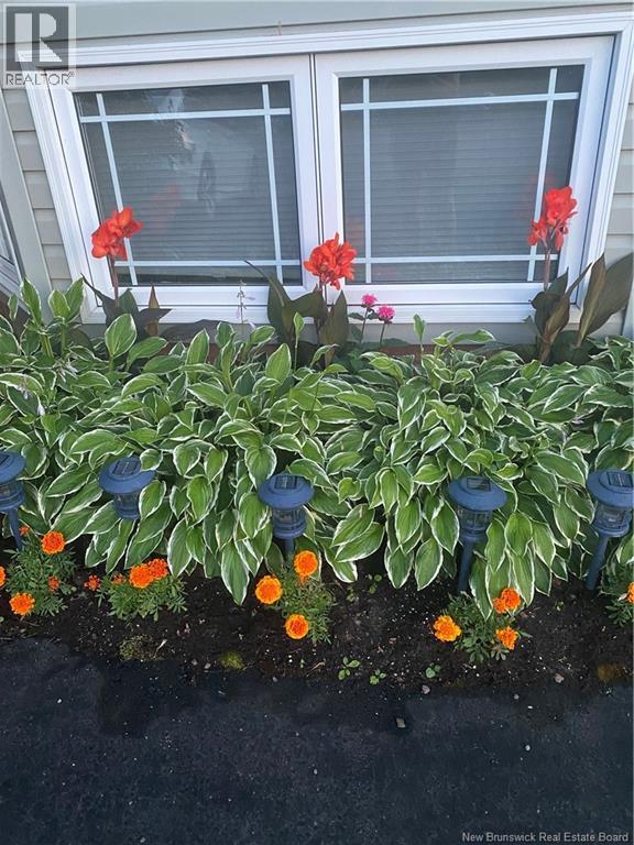 54 Clarendon Drive, Moncton, New Brunswick  E1G 0M9 - Photo 22 - NB135212