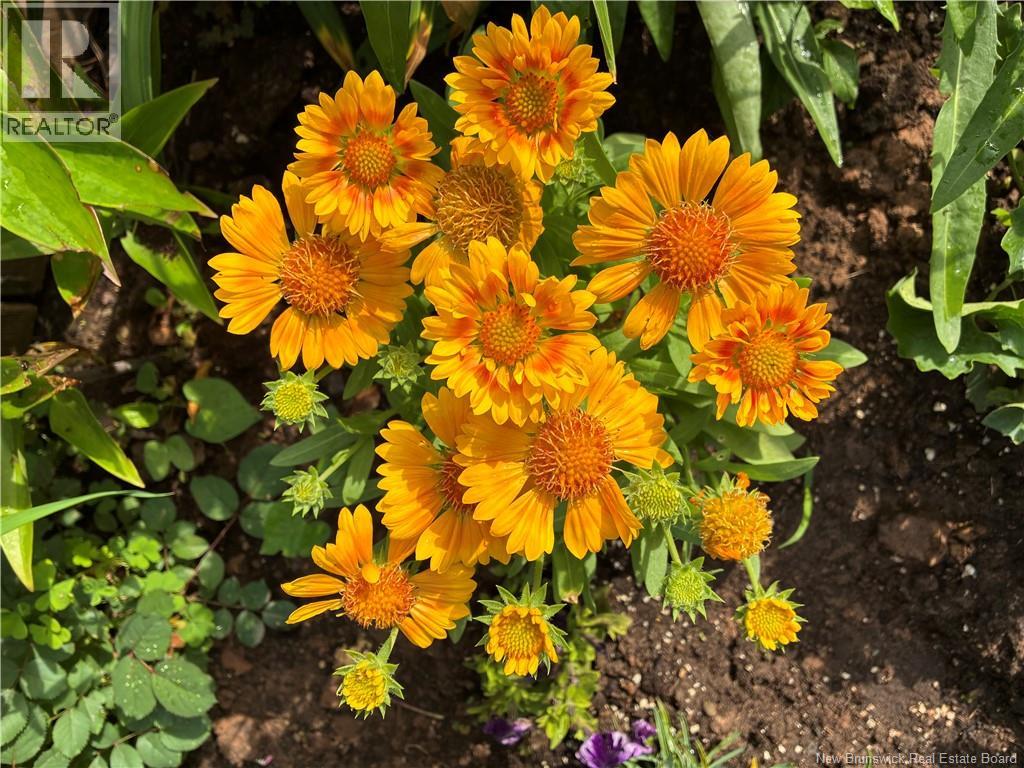 54 Clarendon Drive, Moncton, New Brunswick  E1G 0M9 - Photo 28 - NB135212