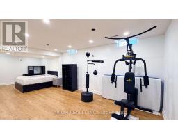 LOWER - 2 BUTE COURT, Vaughan, Ontario