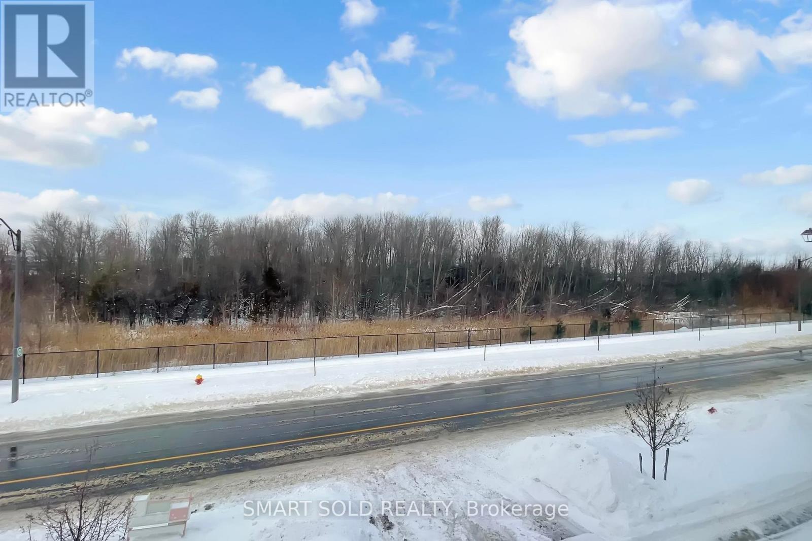 63 Mccague Street, Richmond Hill, Ontario  L4S 0J4 - Photo 28 - N12933756