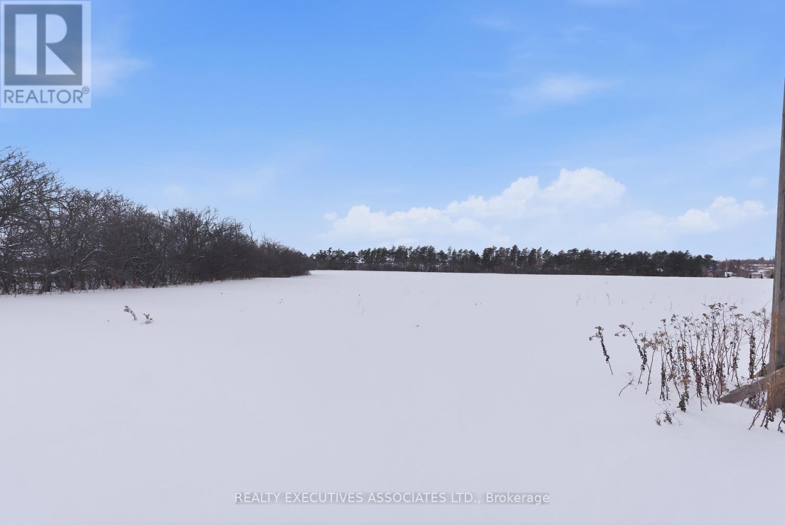 71 Truax Street, Kawartha Lakes, Ontario  K9V 0E3 - Photo 39 - X12933812