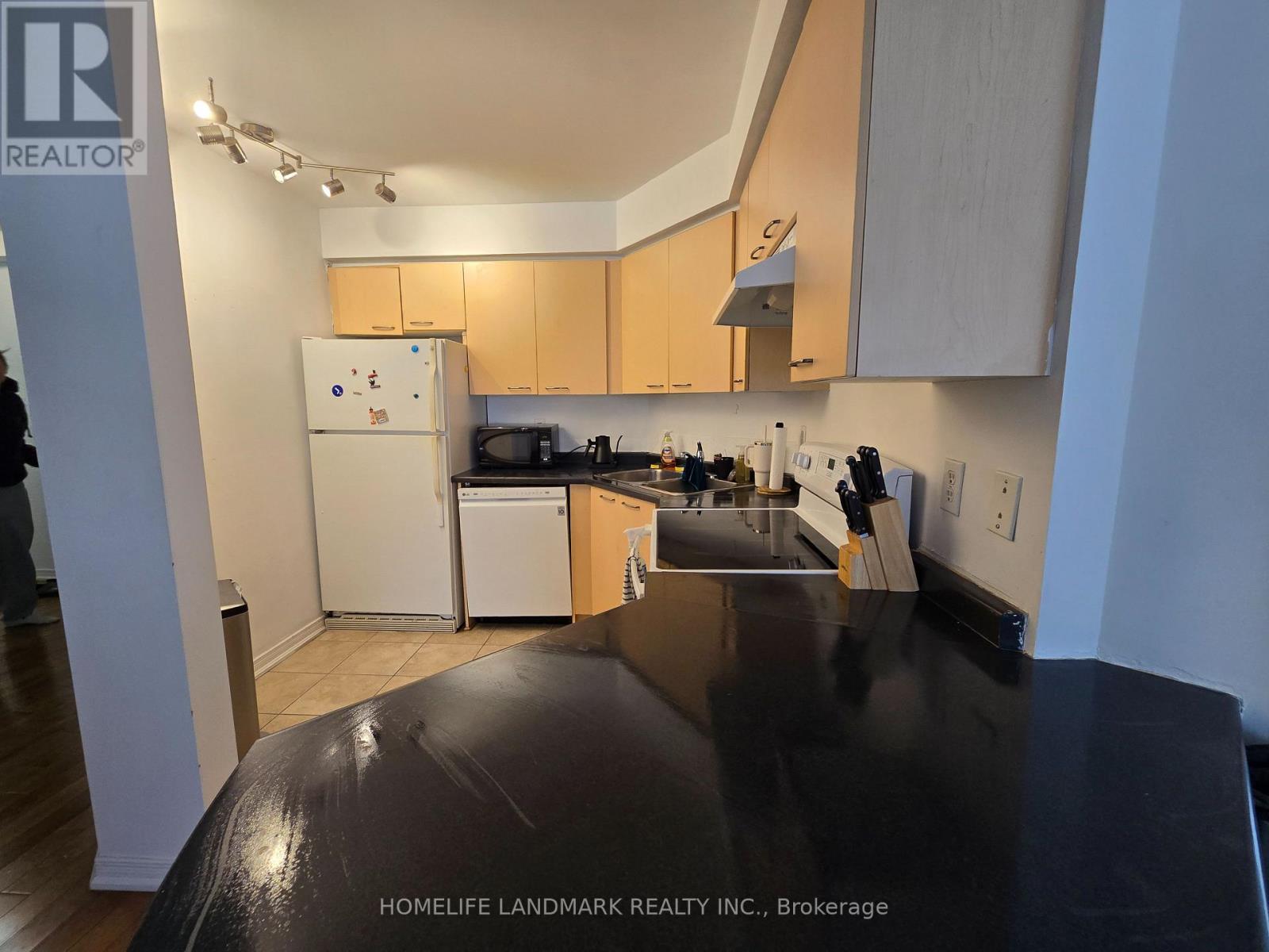 #206 - 140 Bathurst Street, Toronto, Ontario  M5V 3N8 - Photo 9 - C12933842