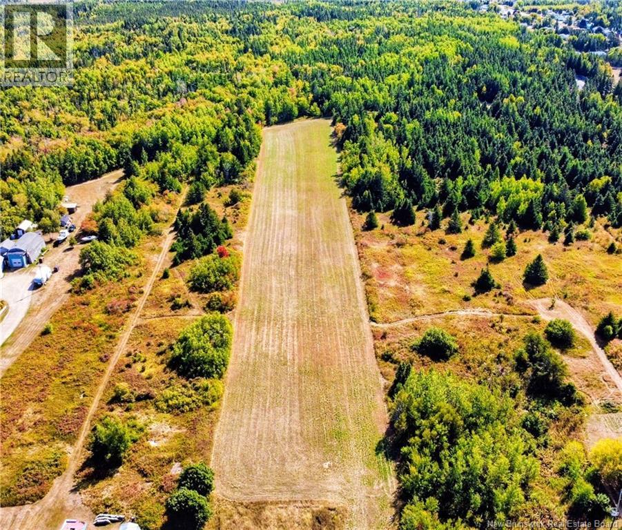 294 Bd St Pierre E, Caraquet, New Brunswick  E1W 1B5 - Photo 12 - NB136003