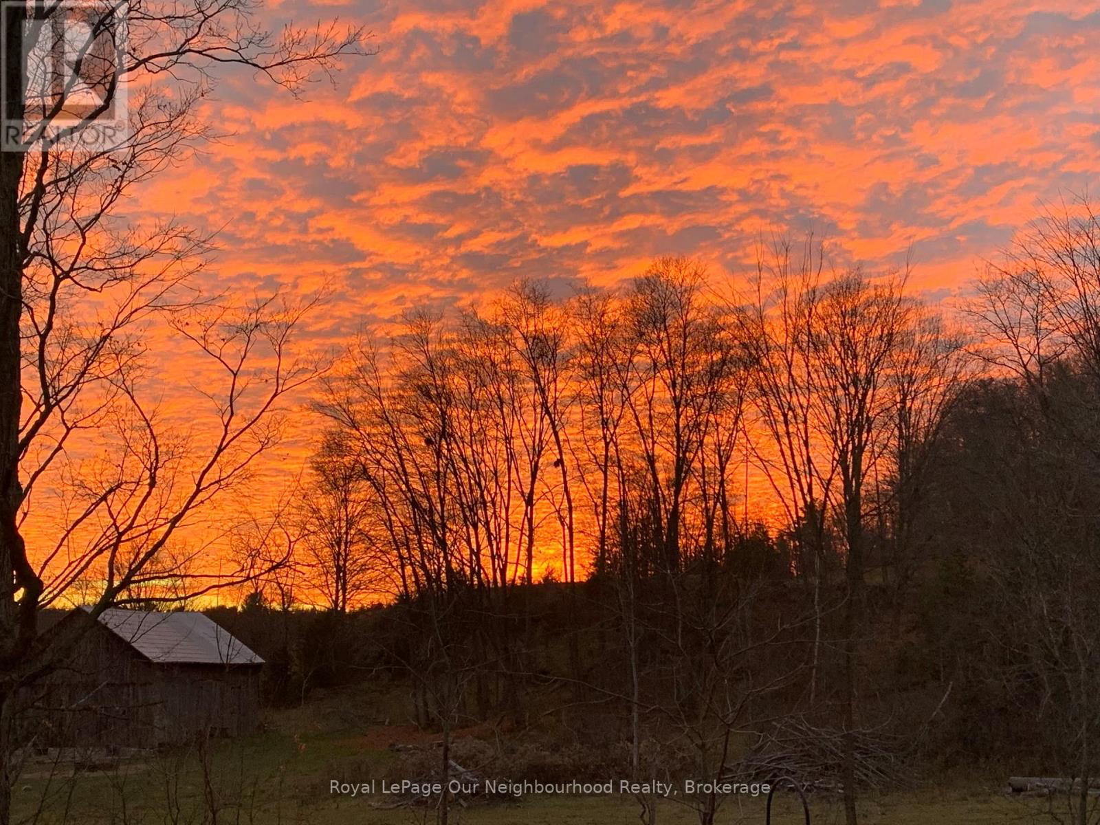 61 Orchard Way, Trent Hills, Ontario  K0K 3K0 - Photo 37 - X12933886