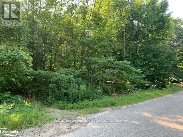 Lt 60 Oneida Crescent, Tiny, Ontario  L9M 0B2 - Photo 3 - S12933874