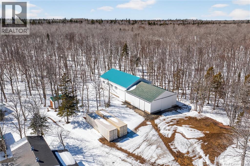 231 Rue Delagarde, Saint-Isidore, New Brunswick  E8M 1H7 - Photo 50 - NB135713