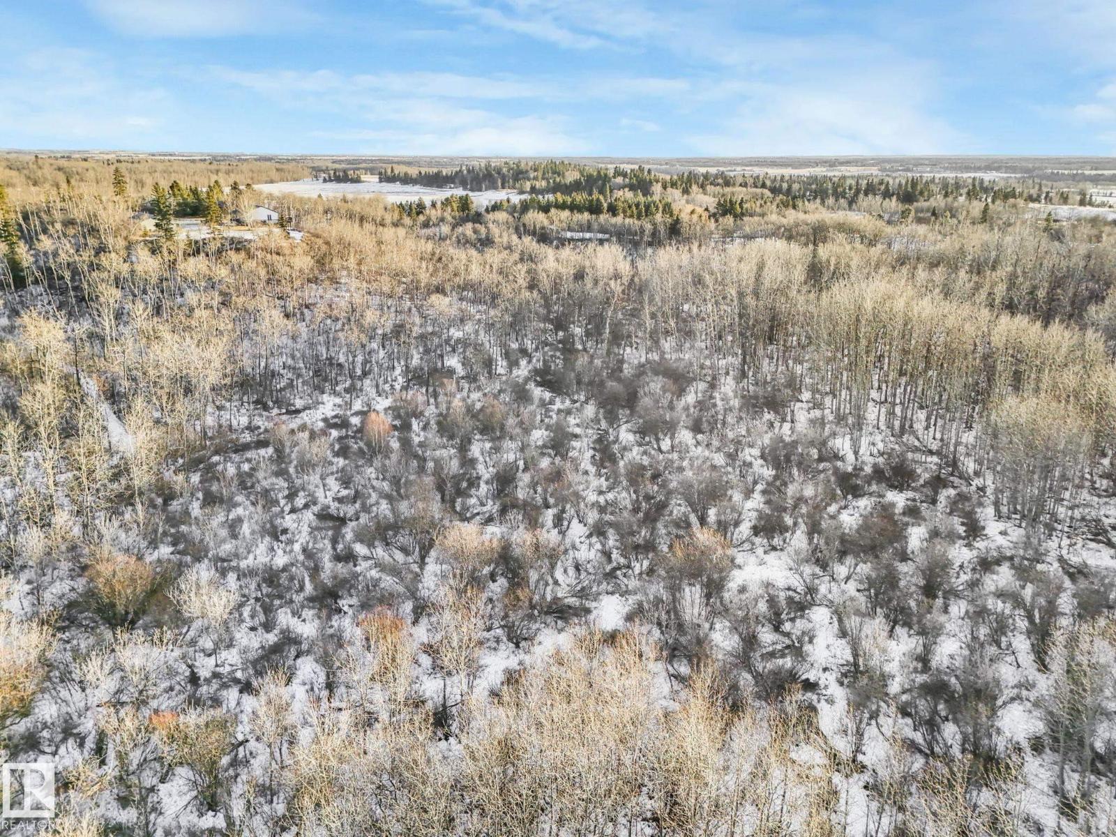 #42 473051 Rge Road 242, Rural Wetaskiwin County, Alberta  T0C 1Z0 - Photo 29 - E4478334