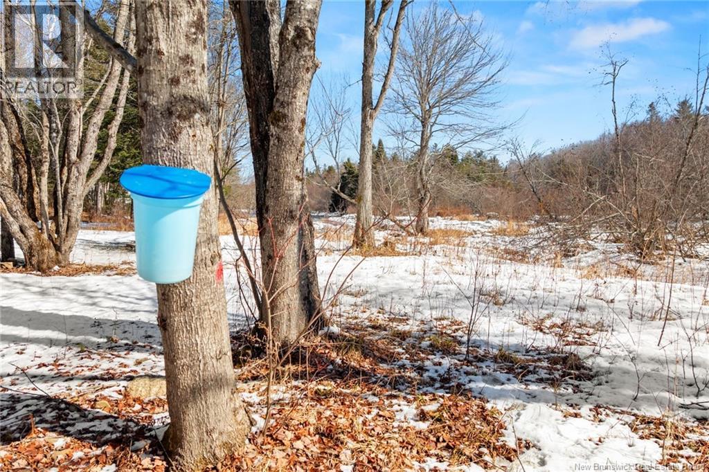 48 Tracy Road, Minto, New Brunswick  E4B 0B3 - Photo 42 - NB135968