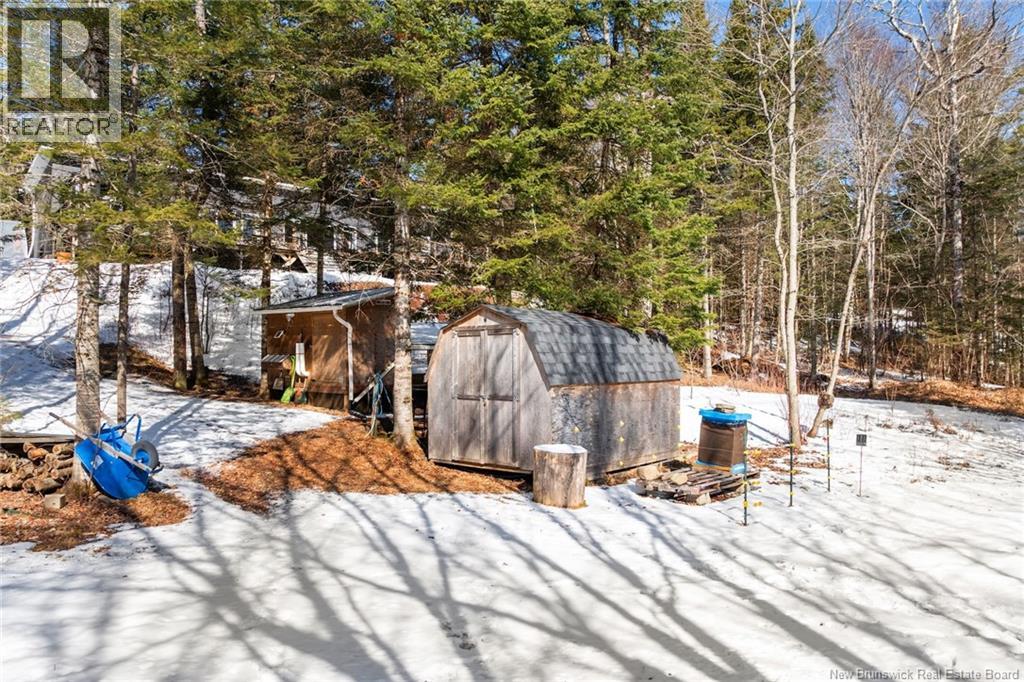 48 Tracy Road, Minto, New Brunswick  E4B 0B3 - Photo 41 - NB135968