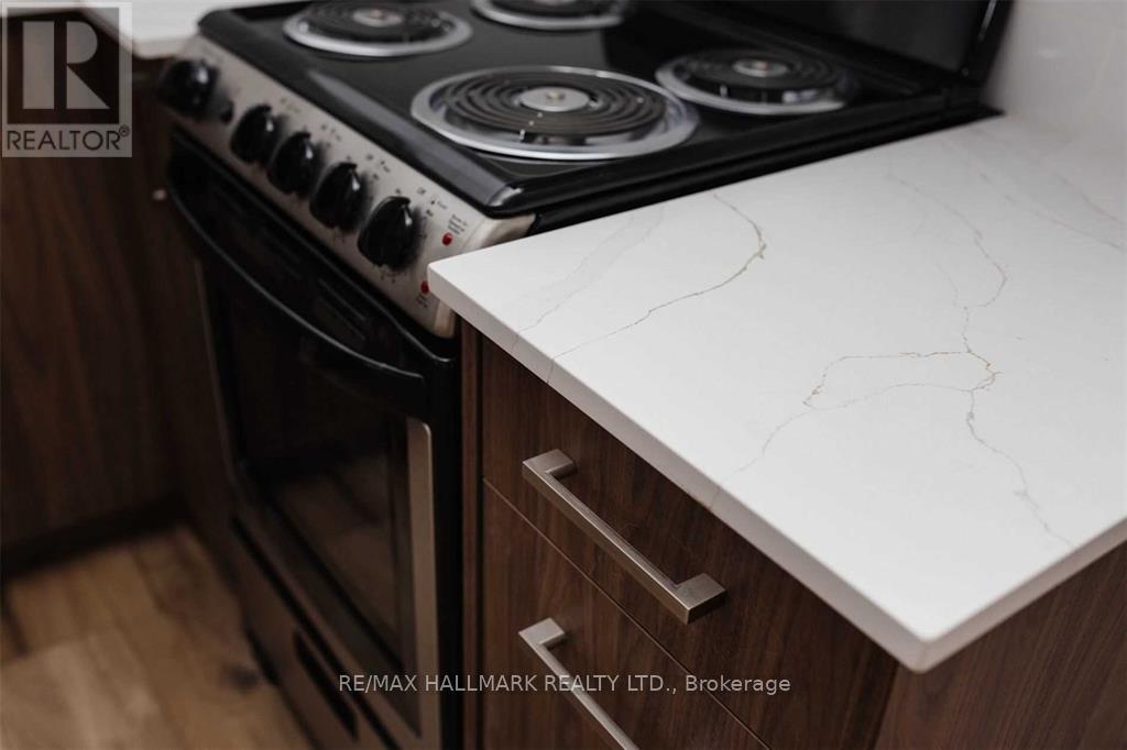 Lower #2 - 164 Richard Clark Drive, Toronto (Downsview-Roding-Cfb), Ontario  M3M 1V4 - Photo 3 - W12933946