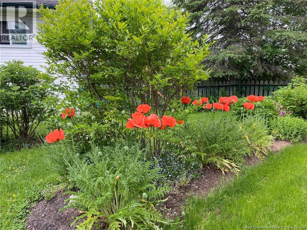 69 Pasadena Drive, Moncton, New Brunswick  E1G 1H7 - Photo 34 - NB134620