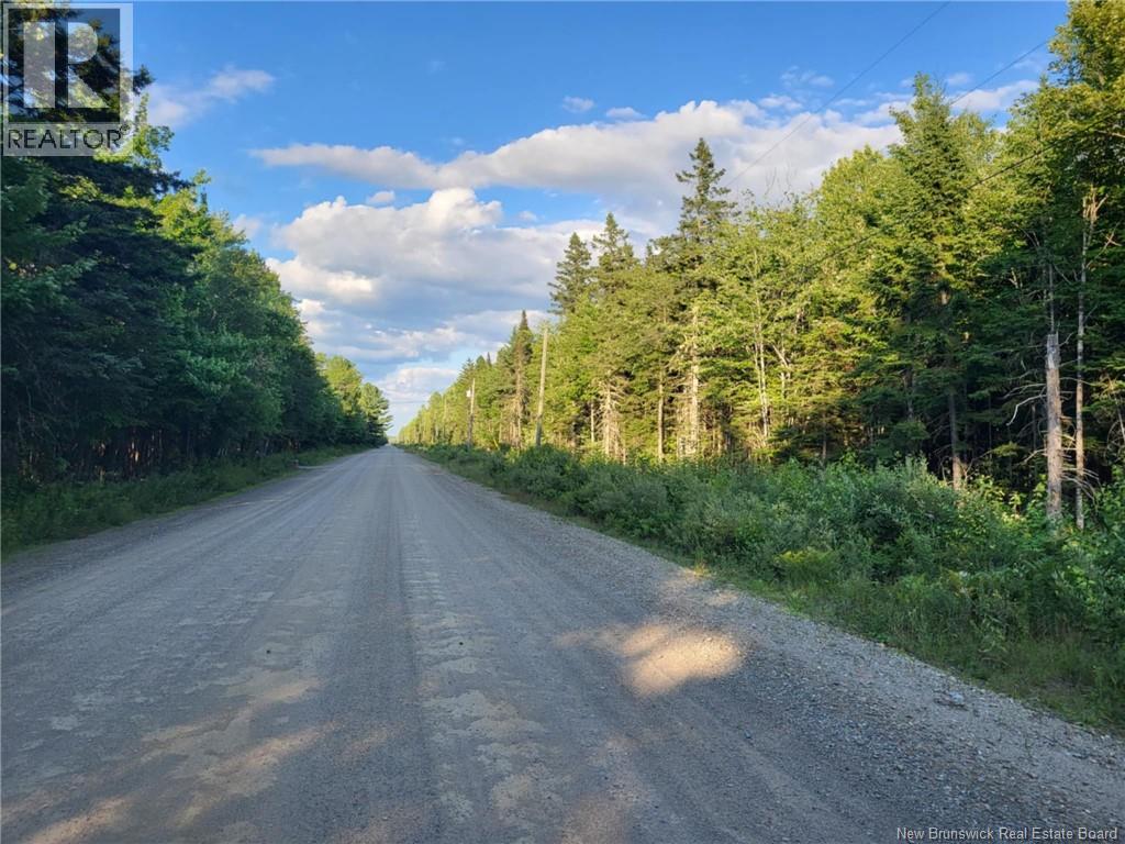 Lot L Zionville Road, Taymouth, New Brunswick  E6C 1Y5 - Photo 1 - NB136079