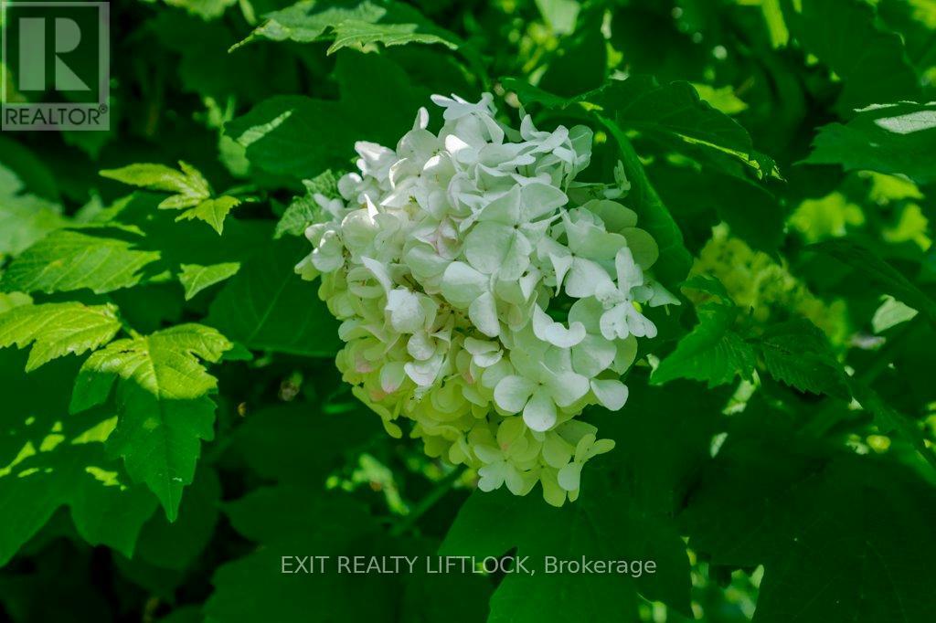 12 Cumberland Street, Port Hope, Ontario  L1A 1Z5 - Photo 45 - X12934094