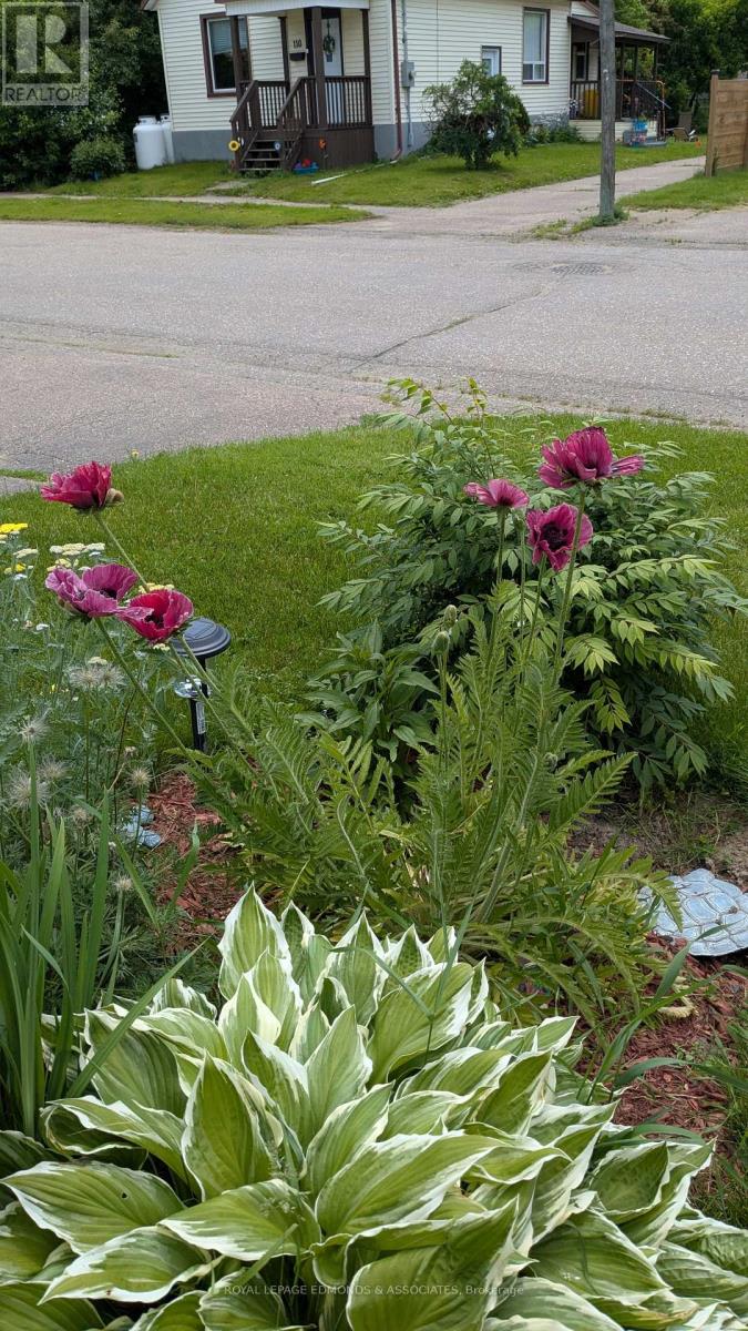 87 Dickson Street, Pembroke, Ontario  K8A 2W8 - Photo 38 - X12934140