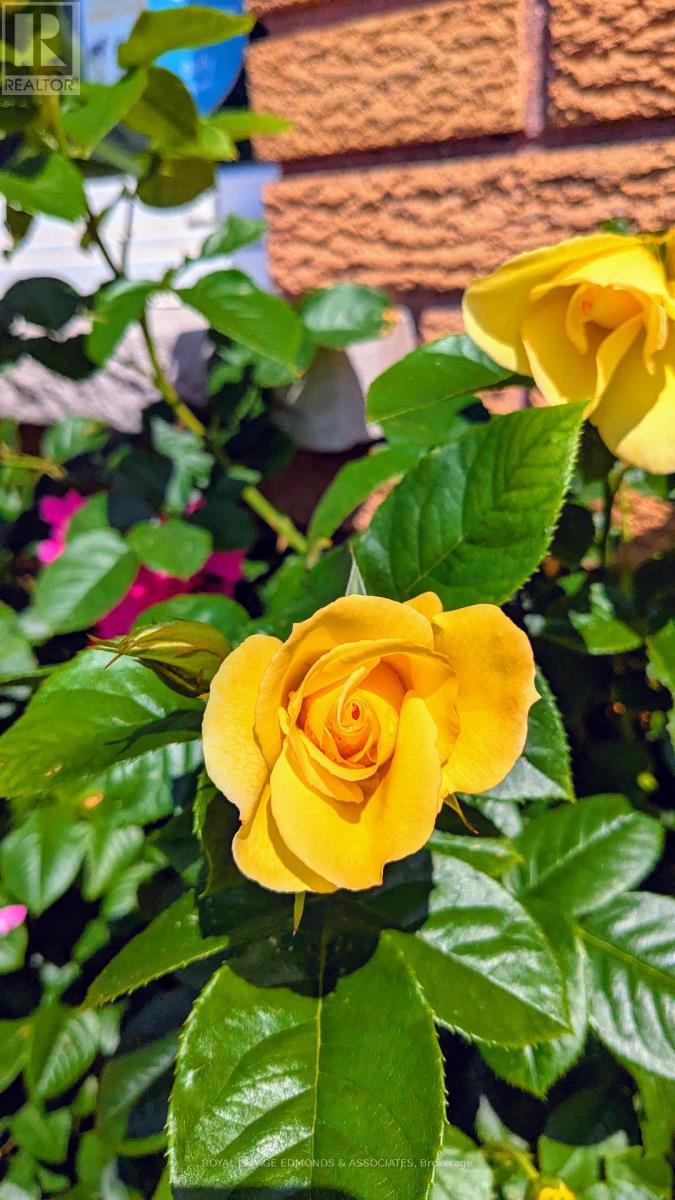 87 Dickson Street, Pembroke, Ontario  K8A 2W8 - Photo 42 - X12934140