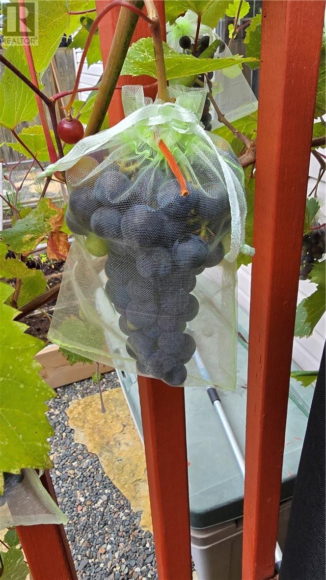 21 Vintage Way, Sudbury, Ontario  P3E 6L3 - Photo 52 - 2126932