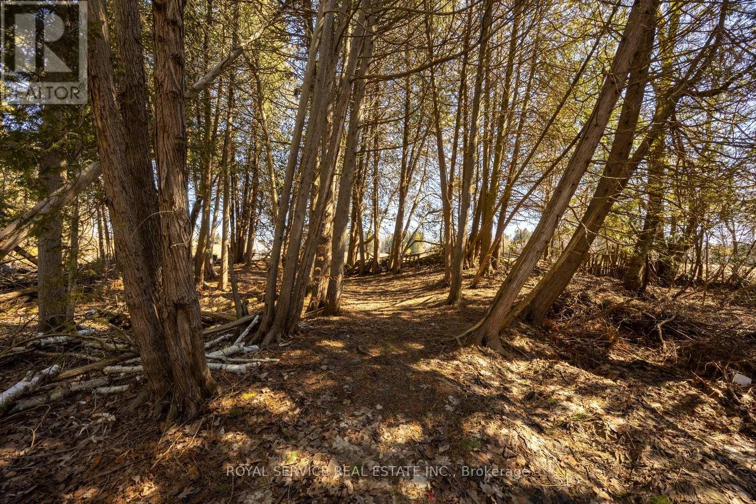 2311 Division Street N, Hamilton Township, Ontario  K9A 0T9 - Photo 47 - X12934270