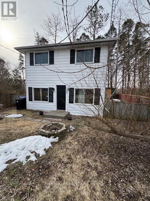 733 Park Road, Innisfil, Ontario  L9S 2E1 - Photo 2 - N12926548