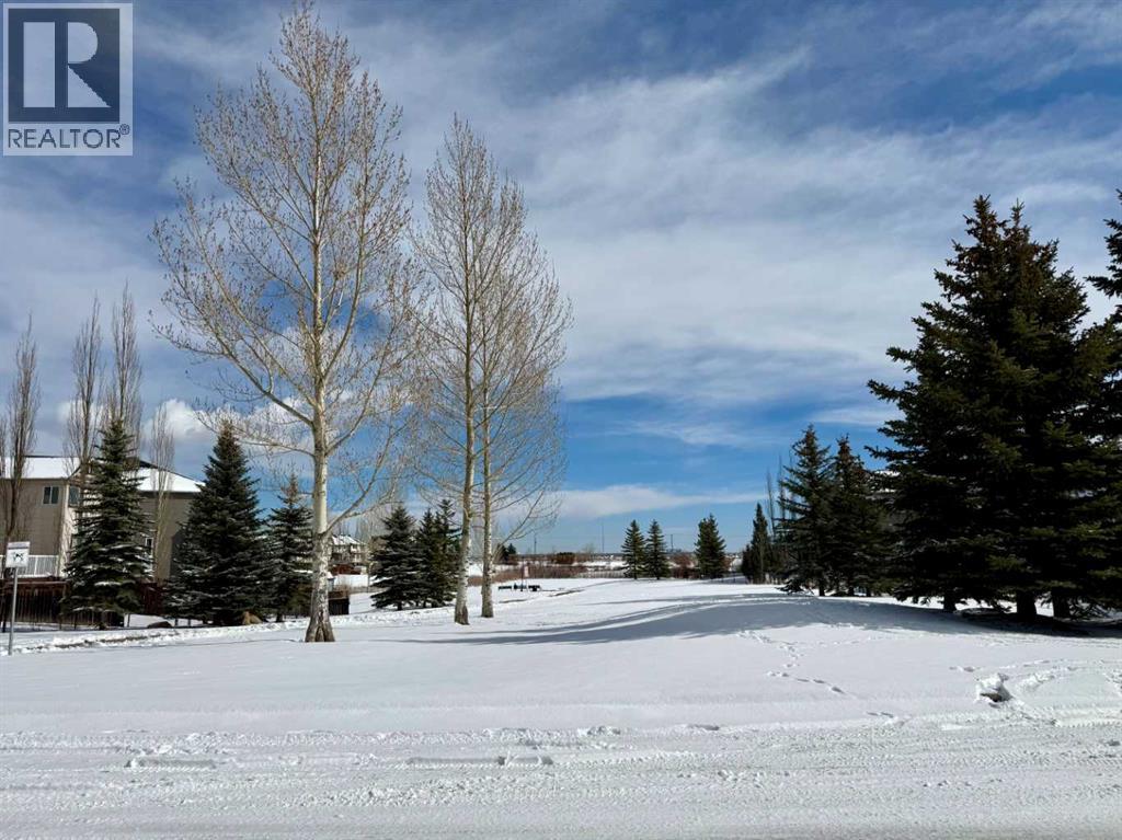 85 Silverado Range View Sw, Calgary, Alberta  T2X 0E1 - Photo 47 - A2293309