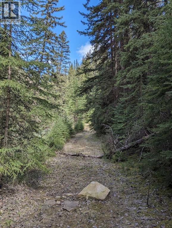 40 Devonian Ridge Place, Rural Rocky View County, Alberta  T3Z 1E6 - Photo 20 - A2295528