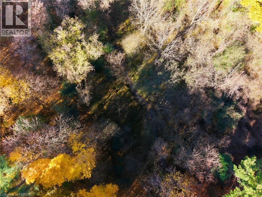 24 River Road, Brantford, Ontario  N3R 0C1 - Photo 44 - 40815894