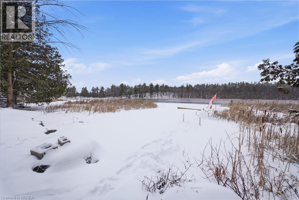 135 Camp Lane, Tweed, Ontario  K0K 3J0 - Photo 43 - 40815664