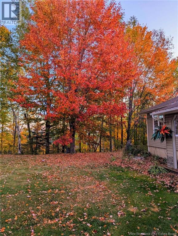 17 Rossville Road, Nackawic, New Brunswick  E6G 1V2 - Photo 48 - NB135425