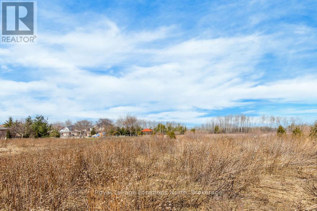 45 Sherwood Street, Collingwood, Ontario  L9Y 0C5 - Photo 47 - S12934722