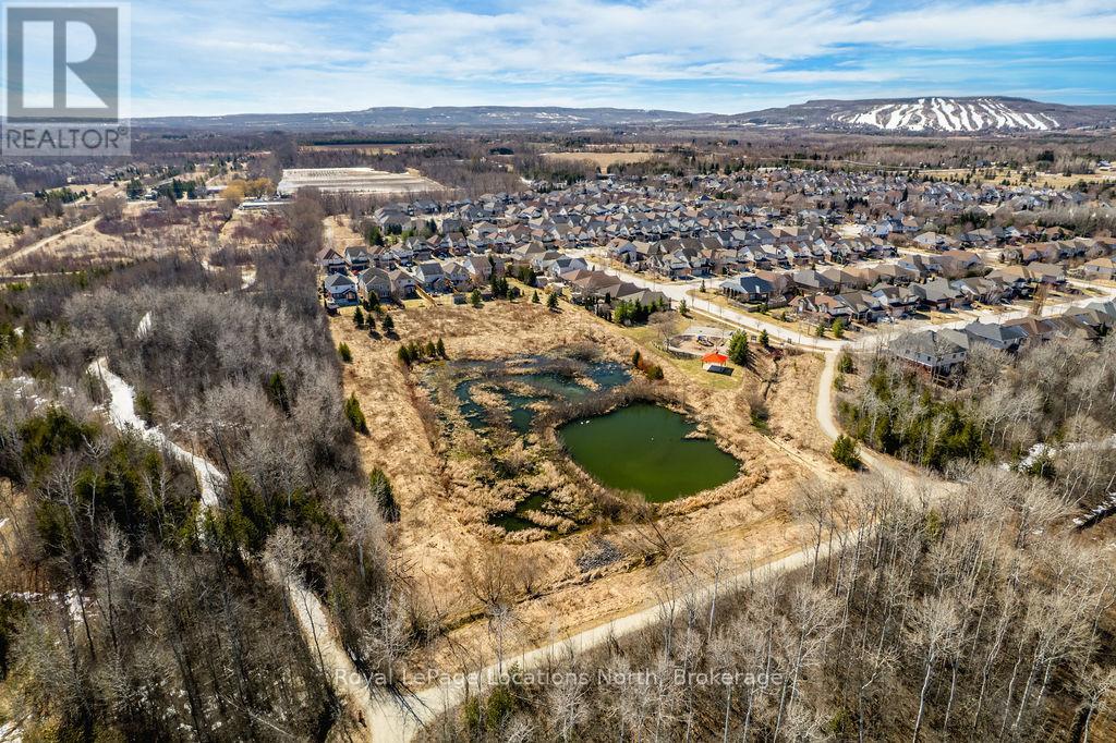 45 Sherwood Street, Collingwood, Ontario  L9Y 0C5 - Photo 50 - S12934722