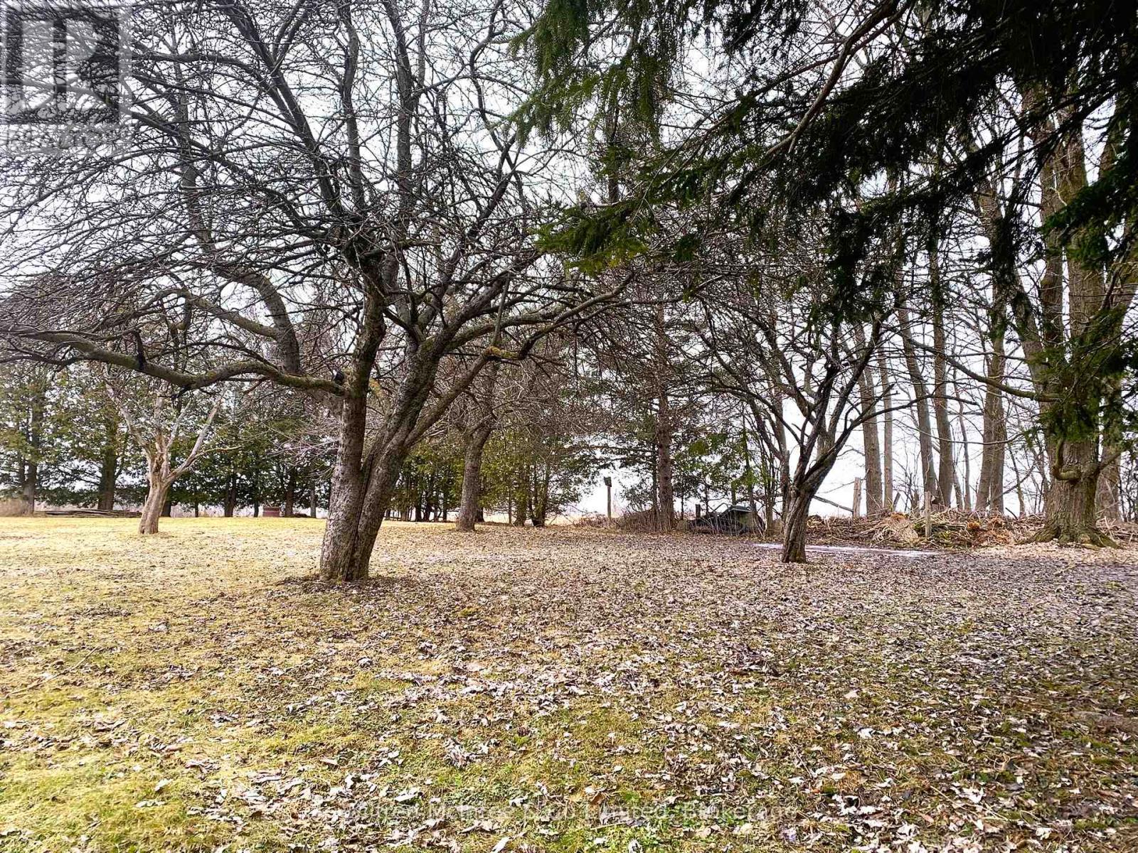 401395 Grey Rd 4, West Grey, Ontario  N4N 3B8 - Photo 41 - X12934582