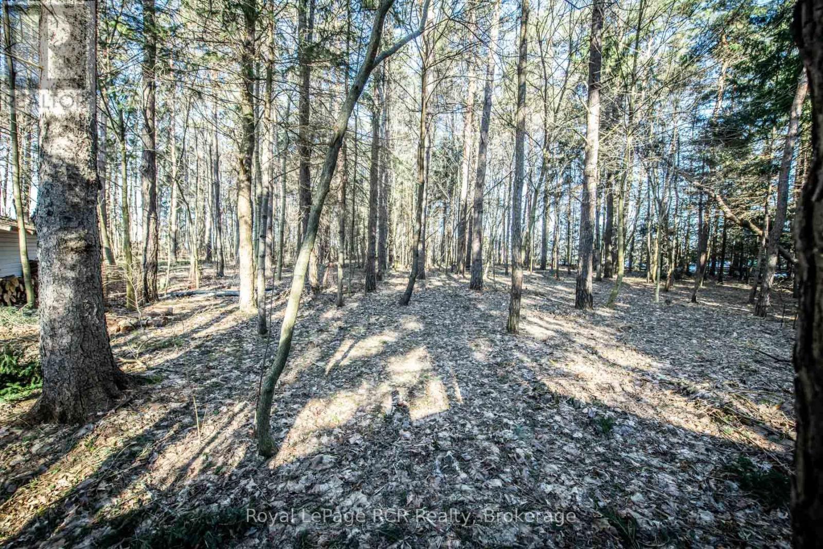 313634 Highway 6 Highway W, West Grey, Ontario  N0G 1R0 - Photo 15 - X12934622