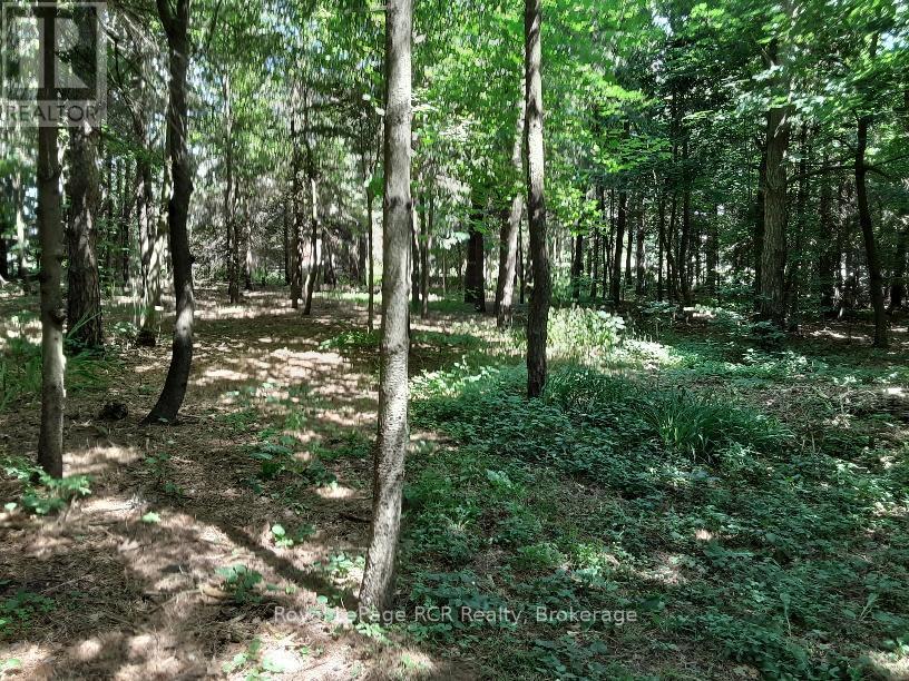 313634 Highway 6 Highway W, West Grey, Ontario  N0G 1R0 - Photo 40 - X12934622