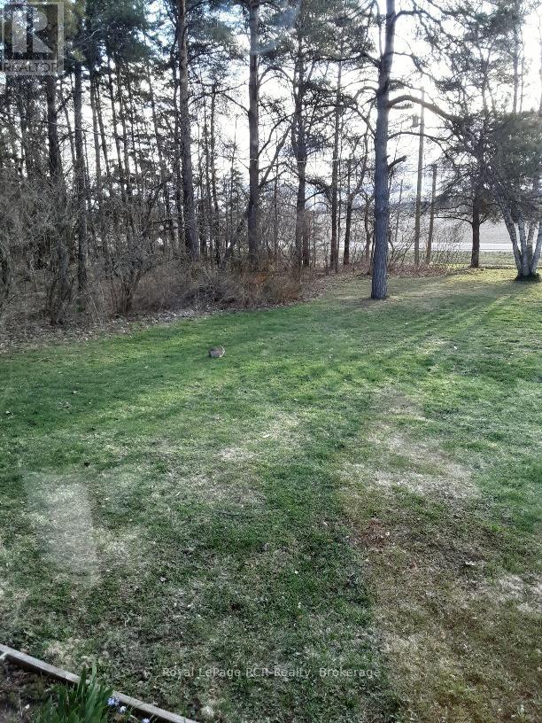 313634 Highway 6 Highway W, West Grey, Ontario  N0G 1R0 - Photo 41 - X12934622